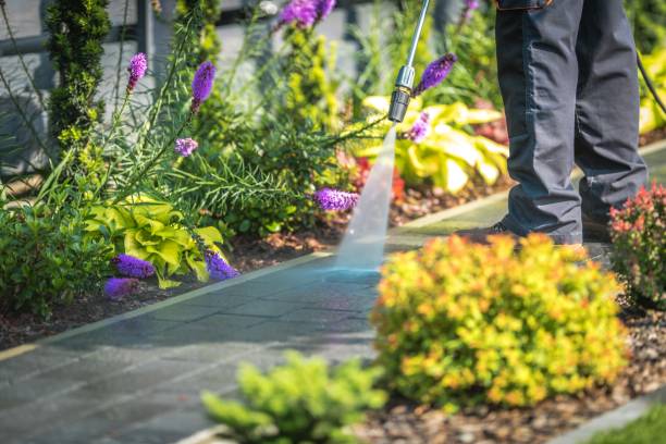 Best Parking Lot and Garage Cleaning  in Alma, MI