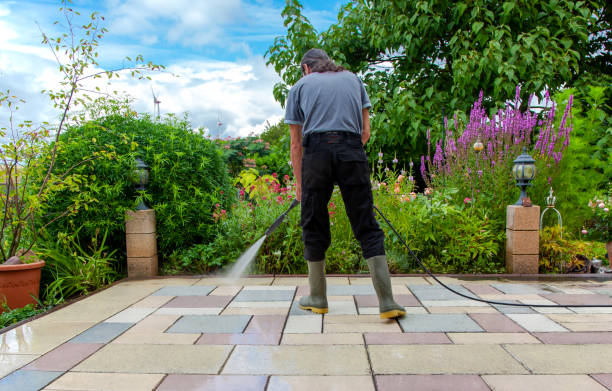 Best Winterizing Services  in Alma, MI