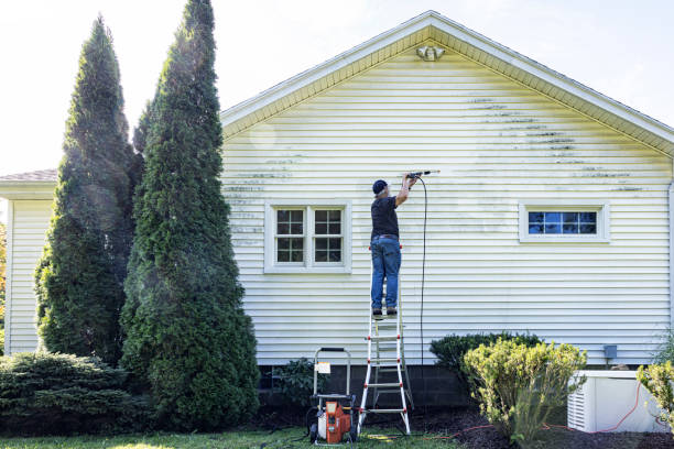 Best Restaurant Pressure Washing  in Alma, MI